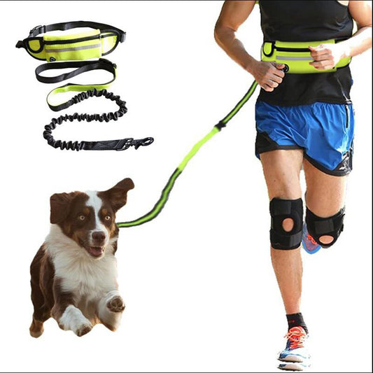 Sport Traction Rep Hög elasticitet Anti-Collision utomhus löpa taktik midja hund Leashg